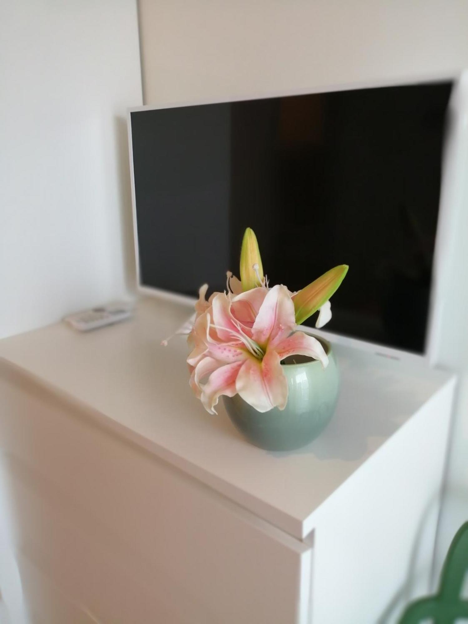 My Monopoli - Casa Dei Fiori "Magnolia" Cala Paradiso חדר תמונה
